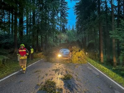 Ff Rainbach Sperre Auf Der B Baum St Rzt Auf Fahrendes Auto