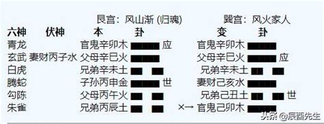 《易經》入門——六爻預測完整的裝卦步驟 每日頭條