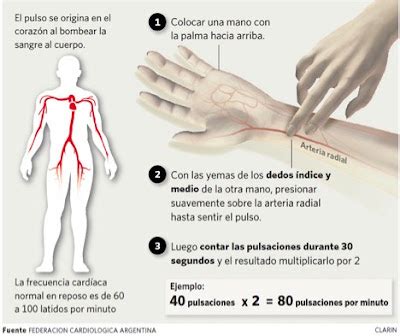 La Clase Del Profe Pedro Aprende A Tomar El Pulso