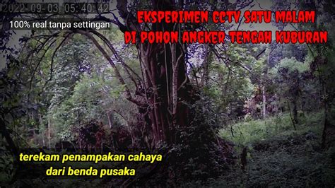 Eksperimen Cctv Di Pohon Angker Tengah Kuburan Penampakan Cahaya Dari