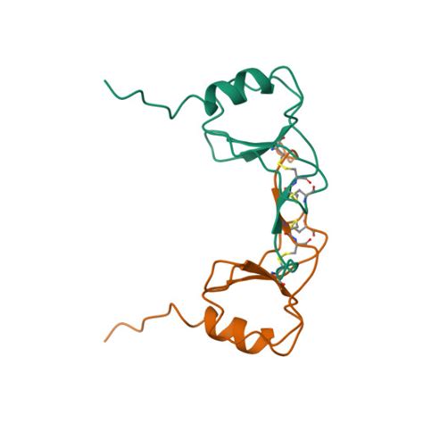 Rcsb Pdb Dom Solution Structure Of The Monocyte Chemoattractant