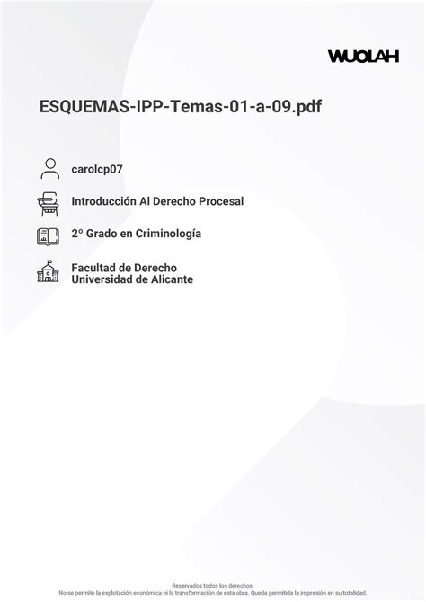 Esquemas Derecho Procesal Del Temas A Esquemas Ipp Temas A