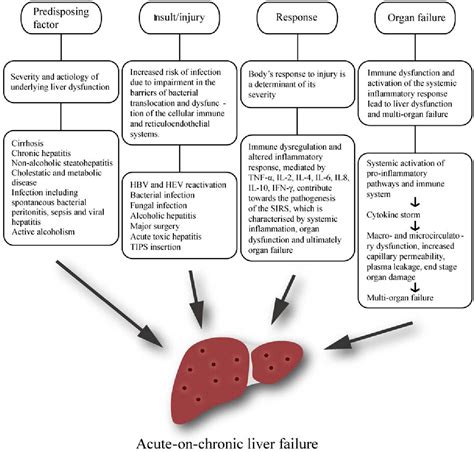 Figure 1 From Acute On Chronic Liver Failure Recent Update Semantic