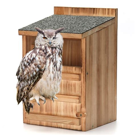 10 Best Owl Boxes 2023 Top Owl Nesting Boxes