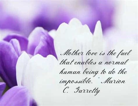 Beautiful Mother's Day Quotes and Messages in Jun 2024 - OurFamilyWorld.com