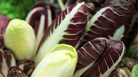 Rückruf bei Aldi und Netto Gefährliche Listerien im Salat entdeckt