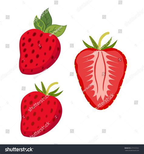 Set Berries Whole Strawberry Slices Berry 库存矢量图（免版税）477410161