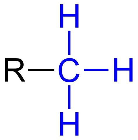 Your Functional Groups And Stuff Flashcards Quizlet