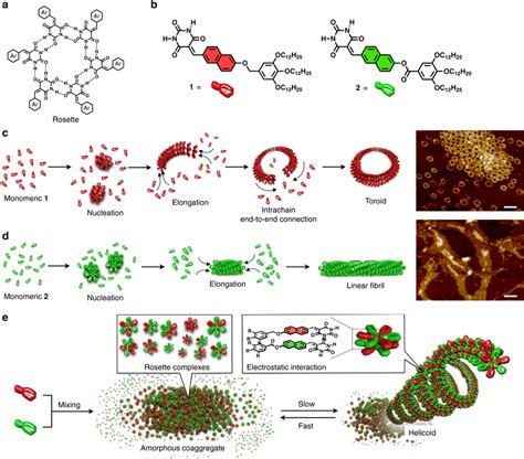 Supramolecular Polymerization And Copolymerization A Chemical Structure