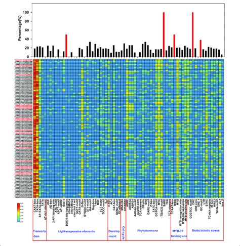 Cis Acting Element Analysis Of The Promoters Of Talac Genes The