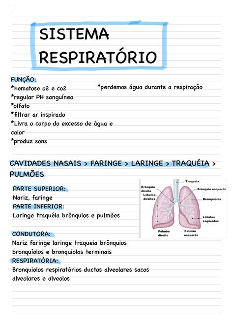 Solution Sistema Respirat Rio Studypool