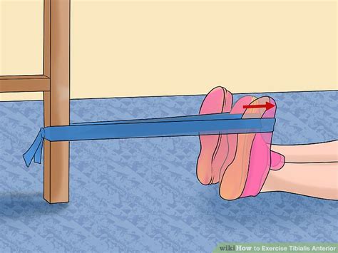 3 Ways To Exercise Tibialis Anterior Wikihow