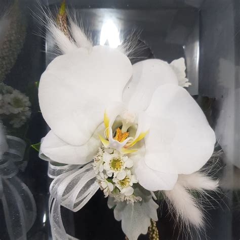 Phalaenopsis White Wrist Corsage Northern Beaches Flower Delivery