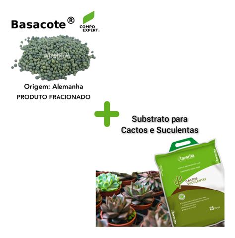 Kit P Kg Basacote E L De Substrato Cactos E Suculentas