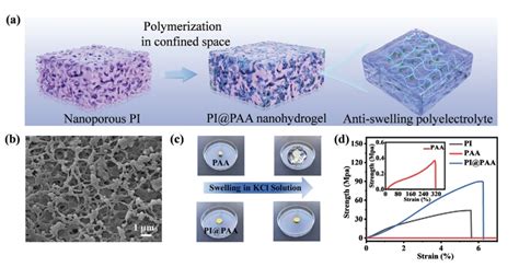 我校隋坤艳教授团队在advanced Functional Materials发表高水平学术成果 青大视点 青岛大学新闻网