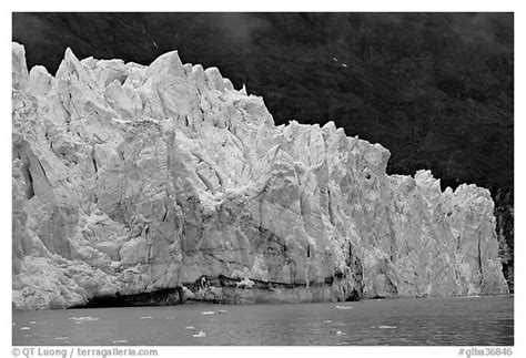 Black And White Picture Photo Front Of Margerie Glacier Against Dark