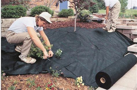 Weed Control Fabric 101 Learn How To Choose The Best Weed Barrier