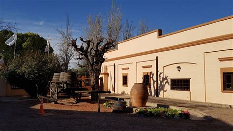 Museo Del Vino Bodega La Rural Busvitivinicola