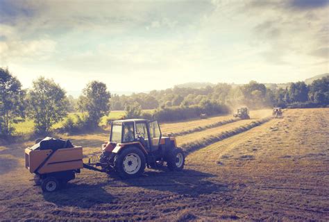 El Gobierno Aumenta A Millones El Apoyo A Los Seguros Agrarios Para