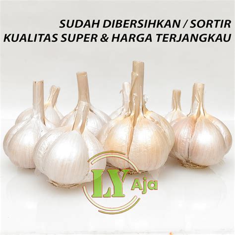 Jual Bawang Putih Kating Bersih Bonggol Gram Kualitas Super Ly Aja