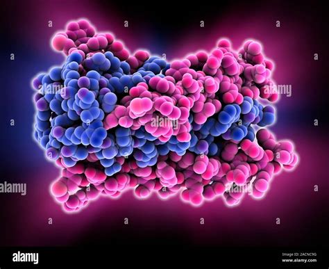 La glicoproteína gp41 del VIH Modelo que muestra la estructura