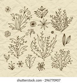 Set Vector Stylized Flowers Leaves Retro Stock Vector (Royalty Free) 296770907 | Shutterstock