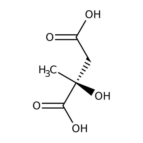 O Methyl L Tyrosine 98 Thermo Scientific