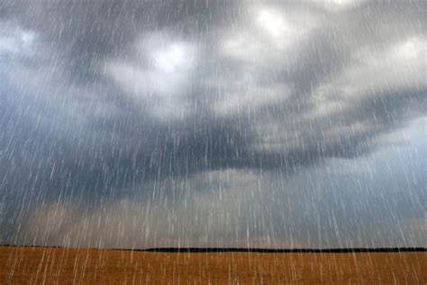 Rain At The Fields Stock Photo Download Image Now Istock