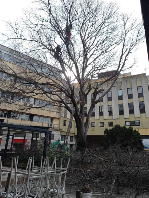 Slobodna Dalmacija Bila Je Simbol Splitske Poljane Skoro Cijelo