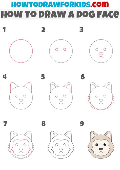 How To Draw A Dog Face - Easy Drawing Tutorial For Kids