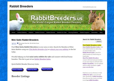 Mini Satin Rabbit Breeders - Mini Satin Rabbits for Sale Near Me