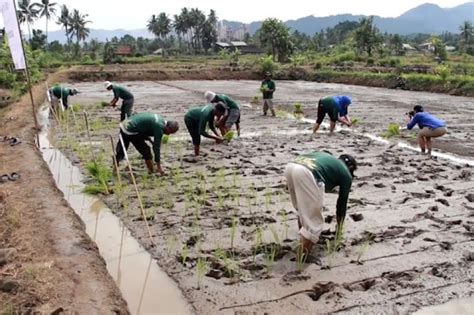 Alasan Bmkg Sebut Masyarakat Perlu Pahami Dampak Perubahan Iklim