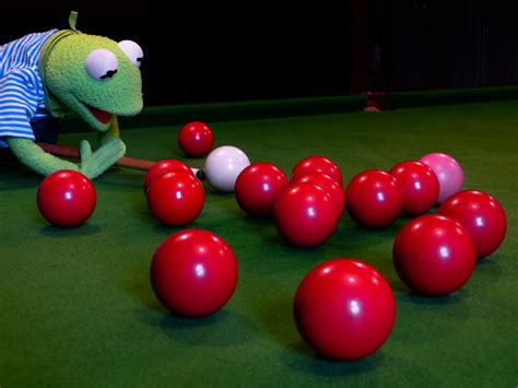 Kermit - Brooklyn Movers New York