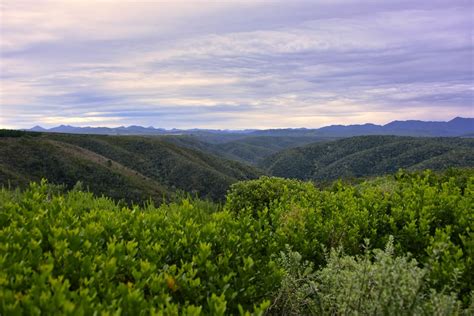 Fairview House à Plettenberg Bay