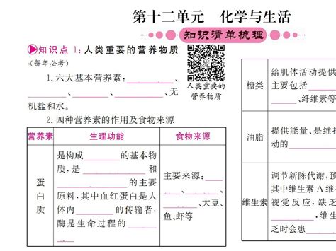 2016届中考化学一轮考点系统复习：第十二单元 化学与生活高品质版word文档在线阅读与下载无忧文档