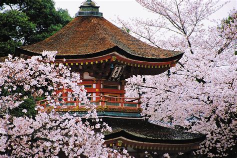 Kyoto Japan Map History Geography And Points Of Interest Britannica