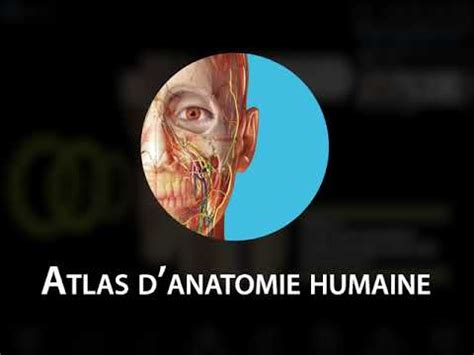 Atlas d anatomie humaine Nous vous présentons les comptes