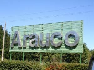 Forestal Arauco Se Convierte En Mayor Propietario De Plantaciones De