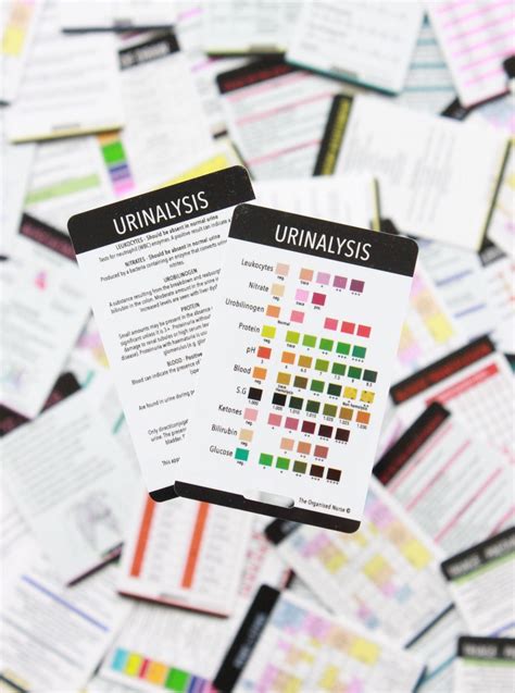 Urinalysis The Organised Nurse