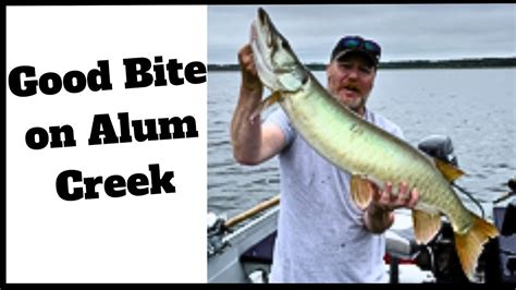 Alum Creek Early June Musky Youtube