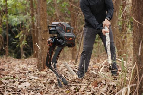 逐际动力双足机器人p1在深圳塘朗山零样本、无保护、全开放完成测试 深圳新闻网