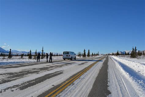 Denali Winter Drive Adventure | Guided Tour from… | ALASKA.ORG