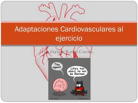 Adaptaciones Cardiovasculares Al Ejercicio Luis Rostro UDocz