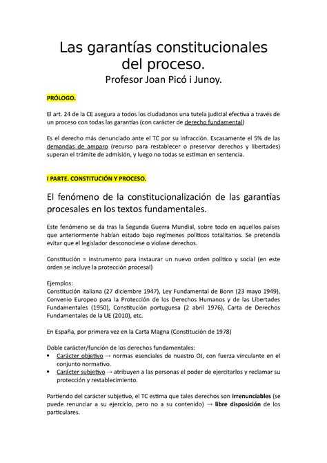 Las Garantías Constitucionales Del Proceso Resumen Las Garantías