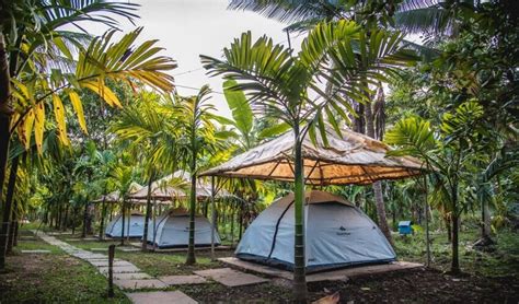 Kali Tiger Reserve Best Resorts Camping Stay In Dandeli