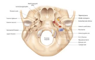 Overview Of Temporal Bone Oto Surgery Atlas