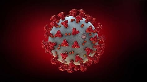 Sociedad De Infectolog A Alerta De Incremento De Casos De Covid El