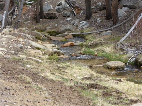 Tr Golden Trout Wilderness May 28 29 2016 High Sierra Topix