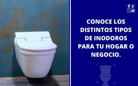 Tipos De Inodoros Descubre El Sanitario Id Ndeo Para Tu Hogar O Negocio