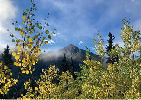 Its Leaf Peeping Season Silverton Standard